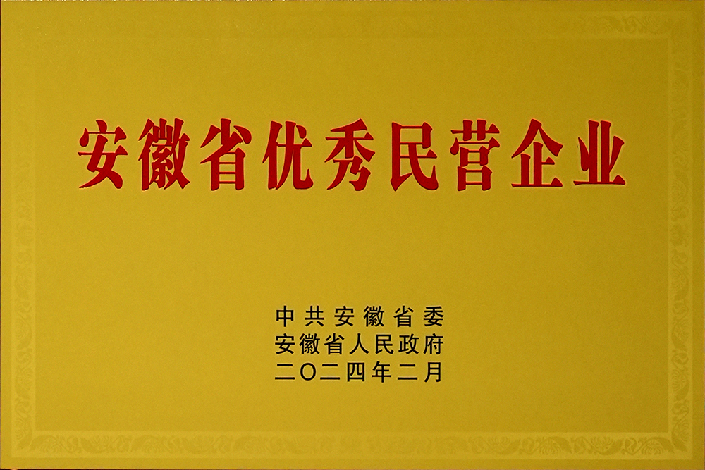 公海彩船股份荣获“安徽省百名优秀民营企业”称呼